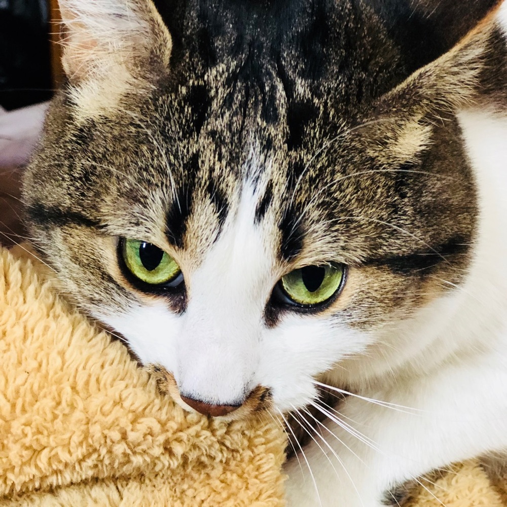 Meet your Posher, Janine